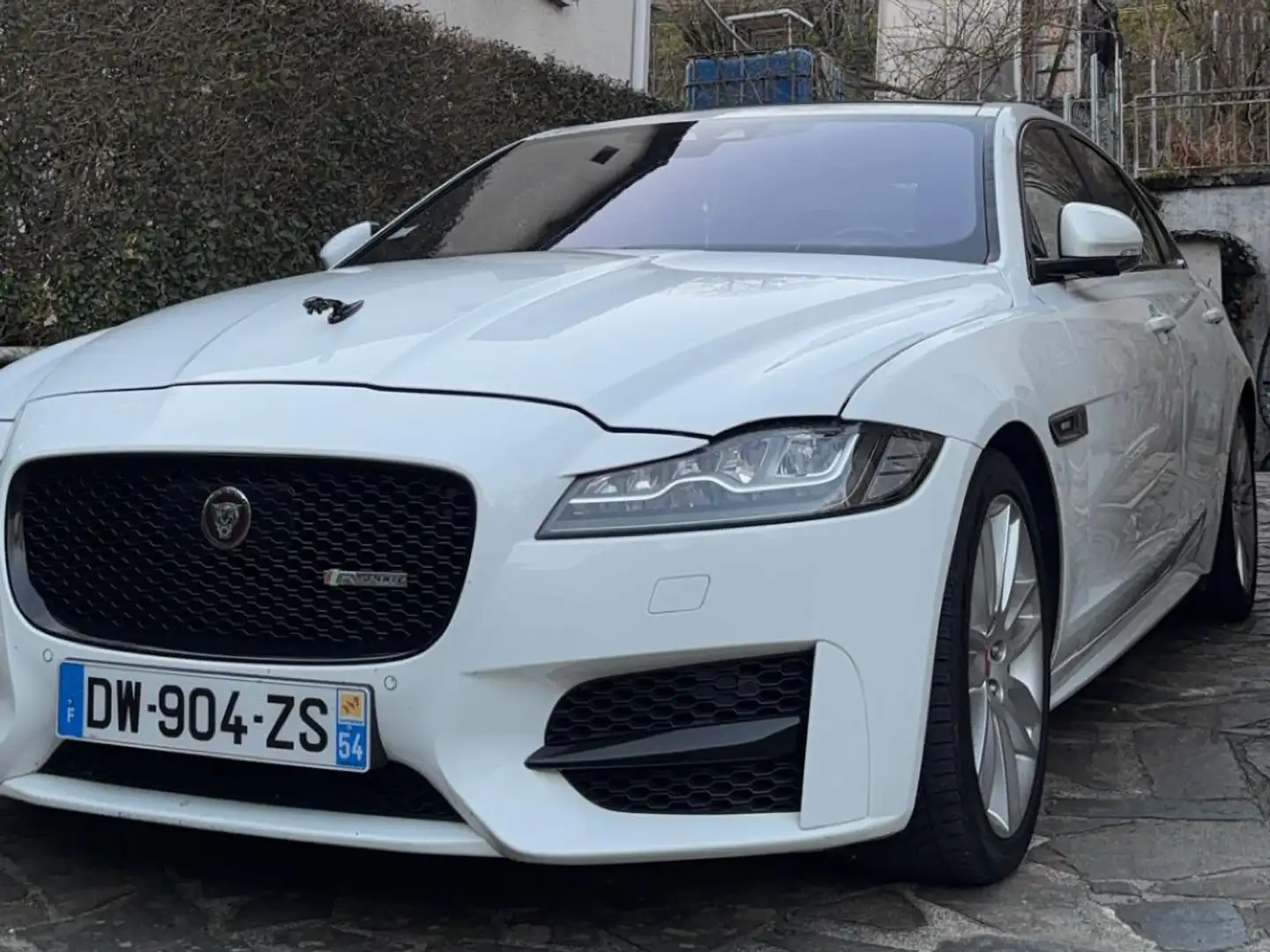 Jaguar XE XE 2.0 D - 180 ch BVAR-Sport Blanc - 2
