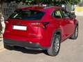 Lexus NX 300h NX 300h Corporate 2WD Corporate Rouge - thumbnail 6