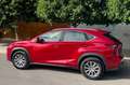 Lexus NX 300h NX 300h Corporate 2WD Corporate Rouge - thumbnail 1