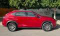 Lexus NX 300h NX 300h Corporate 2WD Corporate Rouge - thumbnail 4