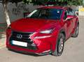 Lexus NX 300h NX 300h Corporate 2WD Corporate Rouge - thumbnail 3