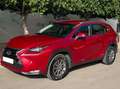 Lexus NX 300h NX 300h Corporate 2WD Corporate Rouge - thumbnail 2