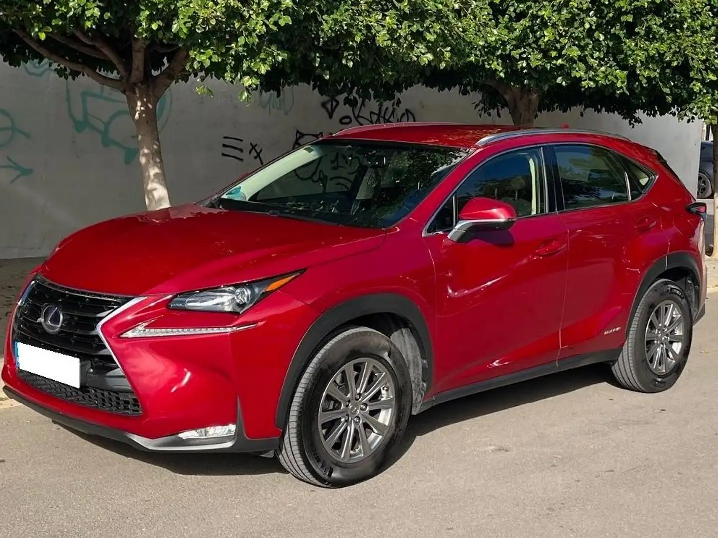 Lexus NX 300h NX 300h Corporate 2WD Corporate Rouge - 2
