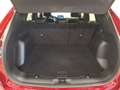 Ford Kuga ST-Line 2.5 DuraTec PHEV Autom Rot - thumbnail 20