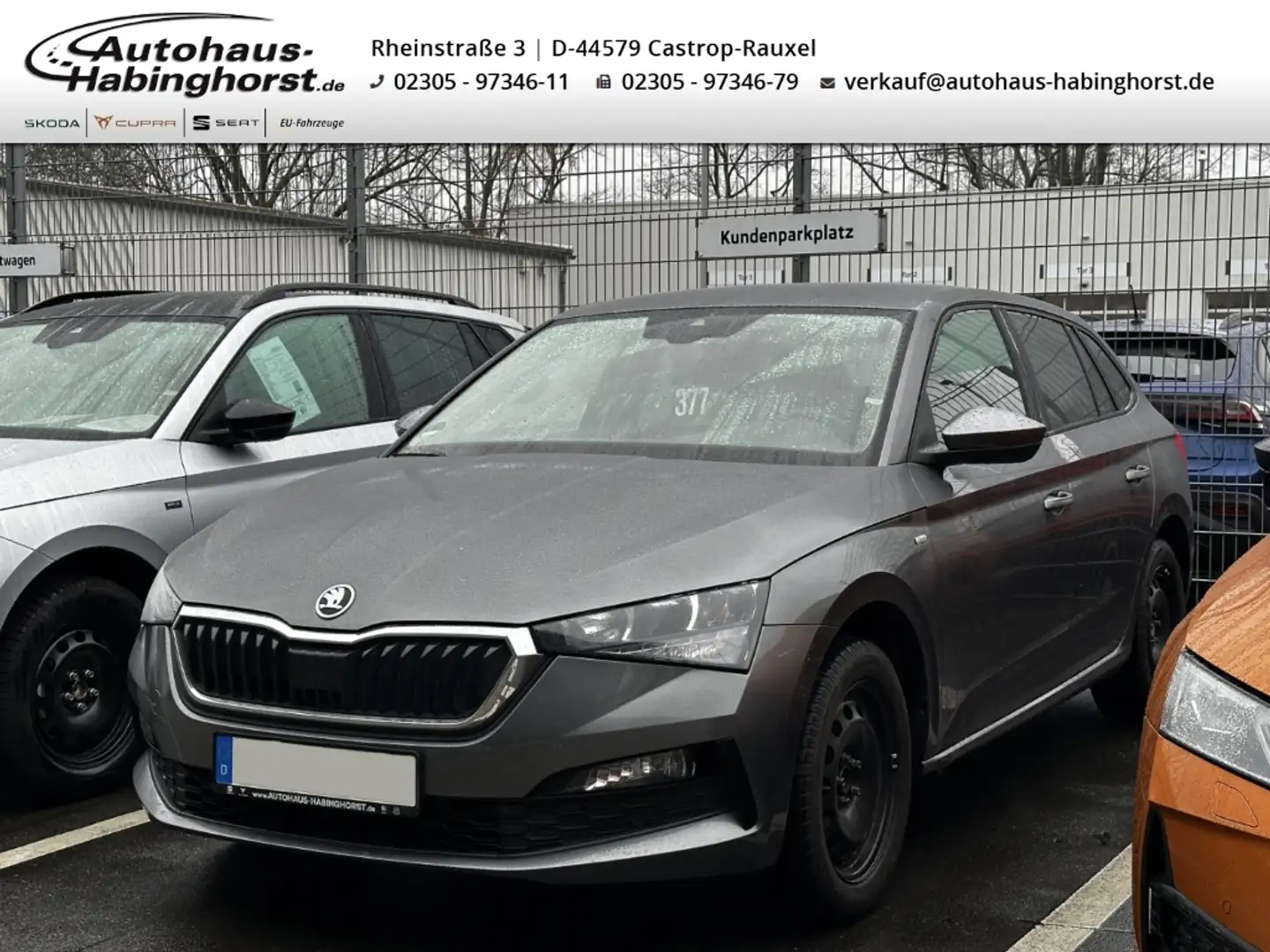 Skoda Scala 1.0 TSI Tour Shz DAB FullLink Tempo Grau - 1