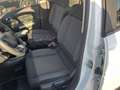 Citroen C3 PureTech 82 Shine Bianco - thumbnail 12