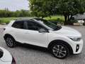 Kia Stonic 1.0 t-gdi Energy 120cv dct7 my18 - thumbnail 6