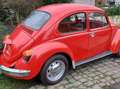 Volkswagen Coccinelle Rot - thumbnail 2