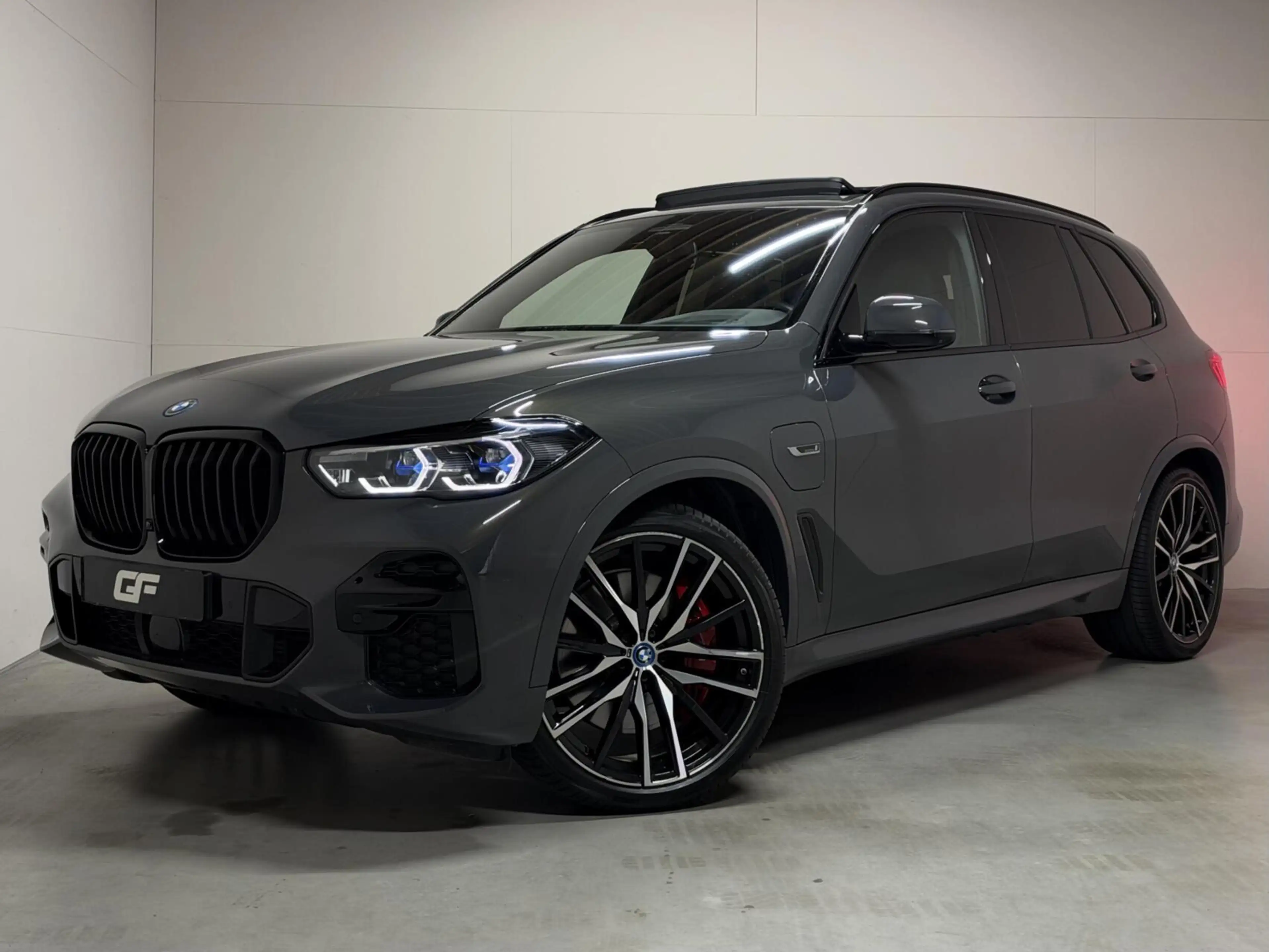 BMW X5 xDrive45e M-Sport Individual Dravitgrau Pano Laser — photo 10