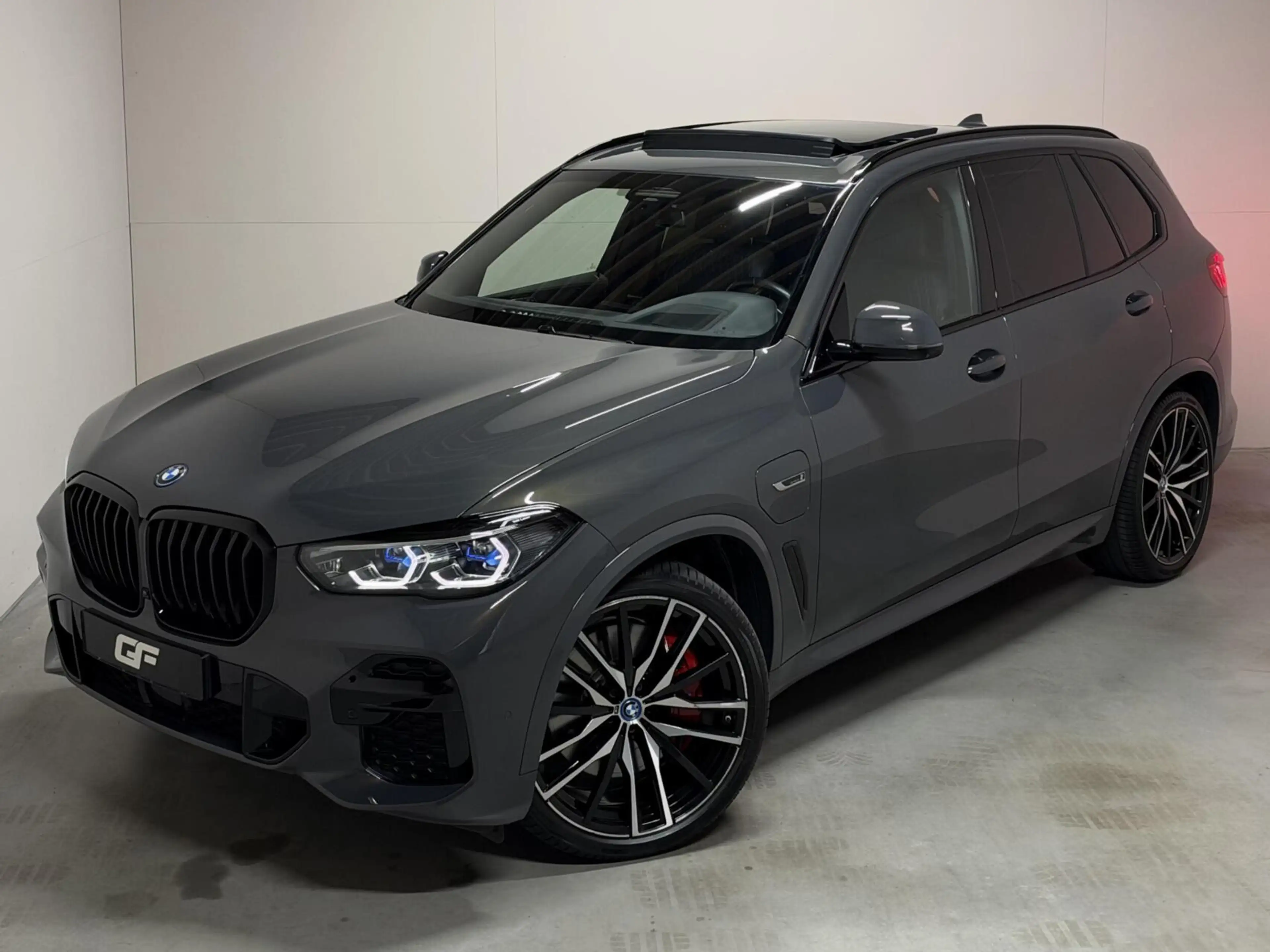 BMW X5 xDrive45e M-Sport Individual Dravitgrau Pano Laser — photo 11