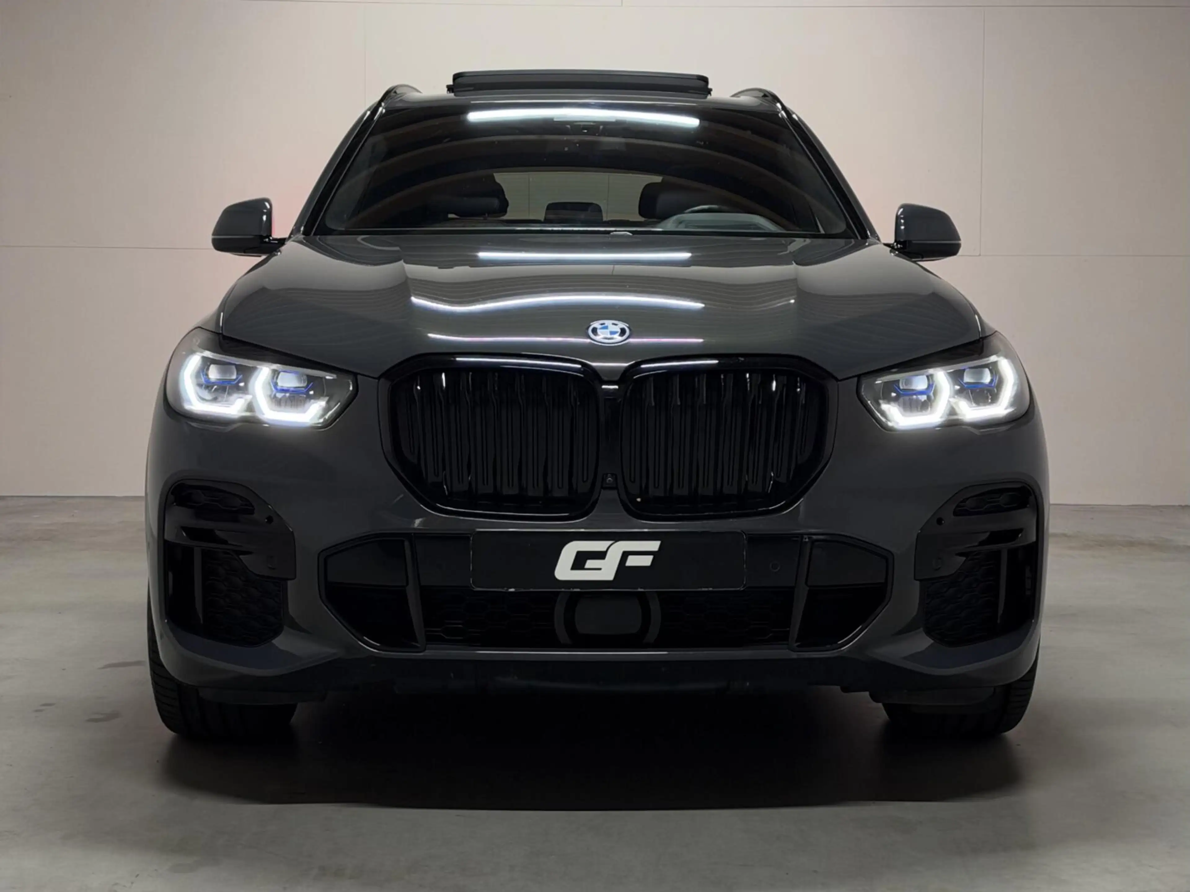 BMW X5 xDrive45e M-Sport Individual Dravitgrau Pano Laser — photo 13