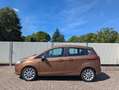 Ford B-Max 1.6 Aut. Titanium schwenkbarer Beifahrersitz Brun - thumbnail 5