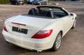 Mercedes-Benz SLK 200 SLK Roadster SLK 200 BlueEfficiency Alb - thumbnail 3