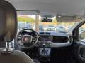 Fiat Panda 1.2 Easy easypower Gpl 69cv my19 Bianco - thumbnail 5