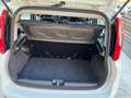Fiat Panda 1.2 Easy easypower Gpl 69cv my19 Bianco - thumbnail 10