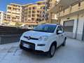 Fiat Panda 1.2 Easy easypower Gpl 69cv my19 Bianco - thumbnail 1