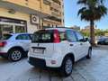 Fiat Panda 1.2 Easy easypower Gpl 69cv my19 Bianco - thumbnail 3