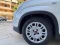 Fiat Panda 1.2 Easy easypower Gpl 69cv my19 Bianco - thumbnail 9