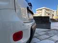 Fiat Panda 1.2 Easy easypower Gpl 69cv my19 Bianco - thumbnail 11