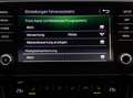 Skoda Octavia Combi 1,0 TSI Style Limited*PARKASSIST*LED*PANO... Grau - thumbnail 15