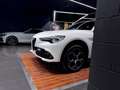 Alfa Romeo Stelvio 2.2 TI Q4 210 Aut. Blanc - thumbnail 5
