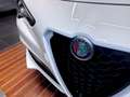 Alfa Romeo Stelvio 2.2 TI Q4 210 Aut. Blanc - thumbnail 28