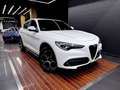 Alfa Romeo Stelvio 2.2 TI Q4 210 Aut. Blanc - thumbnail 1
