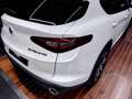 Alfa Romeo Stelvio 2.2 TI Q4 210 Aut. Blanc - thumbnail 30