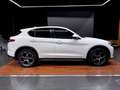 Alfa Romeo Stelvio 2.2 TI Q4 210 Aut. Blanc - thumbnail 6