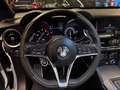 Alfa Romeo Stelvio 2.2 TI Q4 210 Aut. Blanc - thumbnail 14