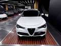 Alfa Romeo Stelvio 2.2 TI Q4 210 Aut. Blanc - thumbnail 3