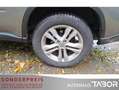 Nissan X-Trail 2.0 dCi SE 4x4 Kamera LM AHK Klimaaut. Grau - thumbnail 10