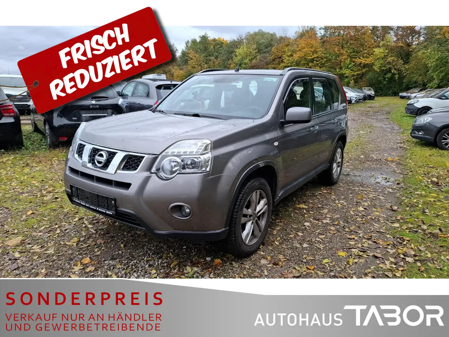 Nissan X-Trail 2.0 dCi SE 4x4 Kamera LM AHK Klimaaut. Grau - 1