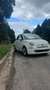 Fiat 500 1.0i MHEV Dolcevita Wit - thumbnail 6