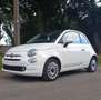 Fiat 500 1.0i MHEV Dolcevita Wit - thumbnail 2