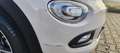 Fiat 500X 500X 1.6 E-TORQ 110 CV POP Beige - thumbnail 10