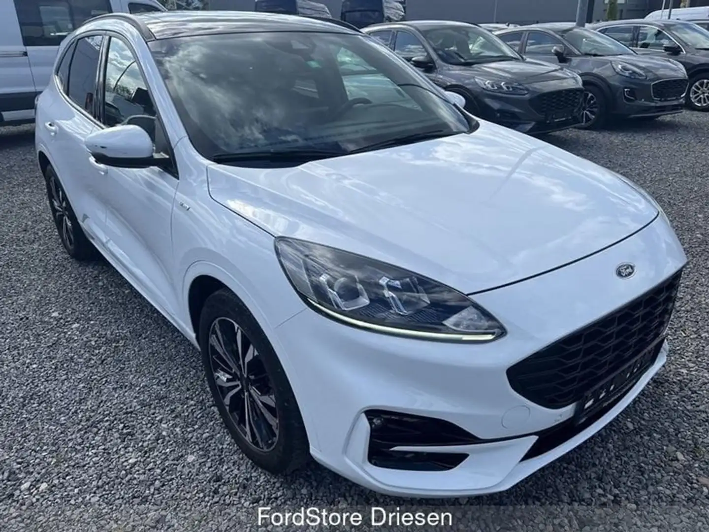 Ford Kuga ST-Line 2.5i FHEV automaat Blanco - 2