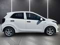 Kia Picanto PICANTO 1.0 5-GANG EDITION 7 NAVIGATION Weiß - thumbnail 4