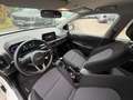 Kia Picanto PICANTO 1.0 5-GANG EDITION 7 NAVIGATION Blanc - thumbnail 13