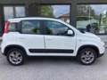 Fiat Panda 85cv Turbo 4x4 White - thumbnail 3