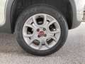 Fiat Panda 85cv Turbo 4x4 White - thumbnail 14
