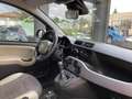 Fiat Panda 85cv Turbo 4x4 White - thumbnail 11