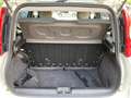 Fiat Panda 85cv Turbo 4x4 White - thumbnail 15