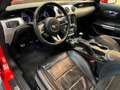 Ford Mustang GT*KAMERA*NAVI*PEFORMANCE* Red - thumbnail 9