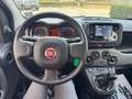 Fiat Panda 1.0 FireFly Hybrid 70cv City Life -OK Neopatentati Grigio - thumbnail 10