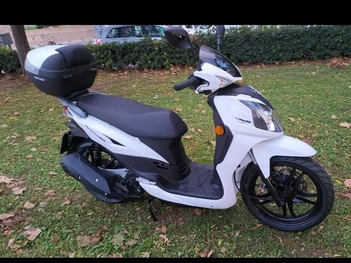 SYM Symphony 125 SR Blanco - 1