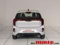 Kia Picanto /TITAN/1,0 GDI/MT5/67/MY26 Silber - thumbnail 7