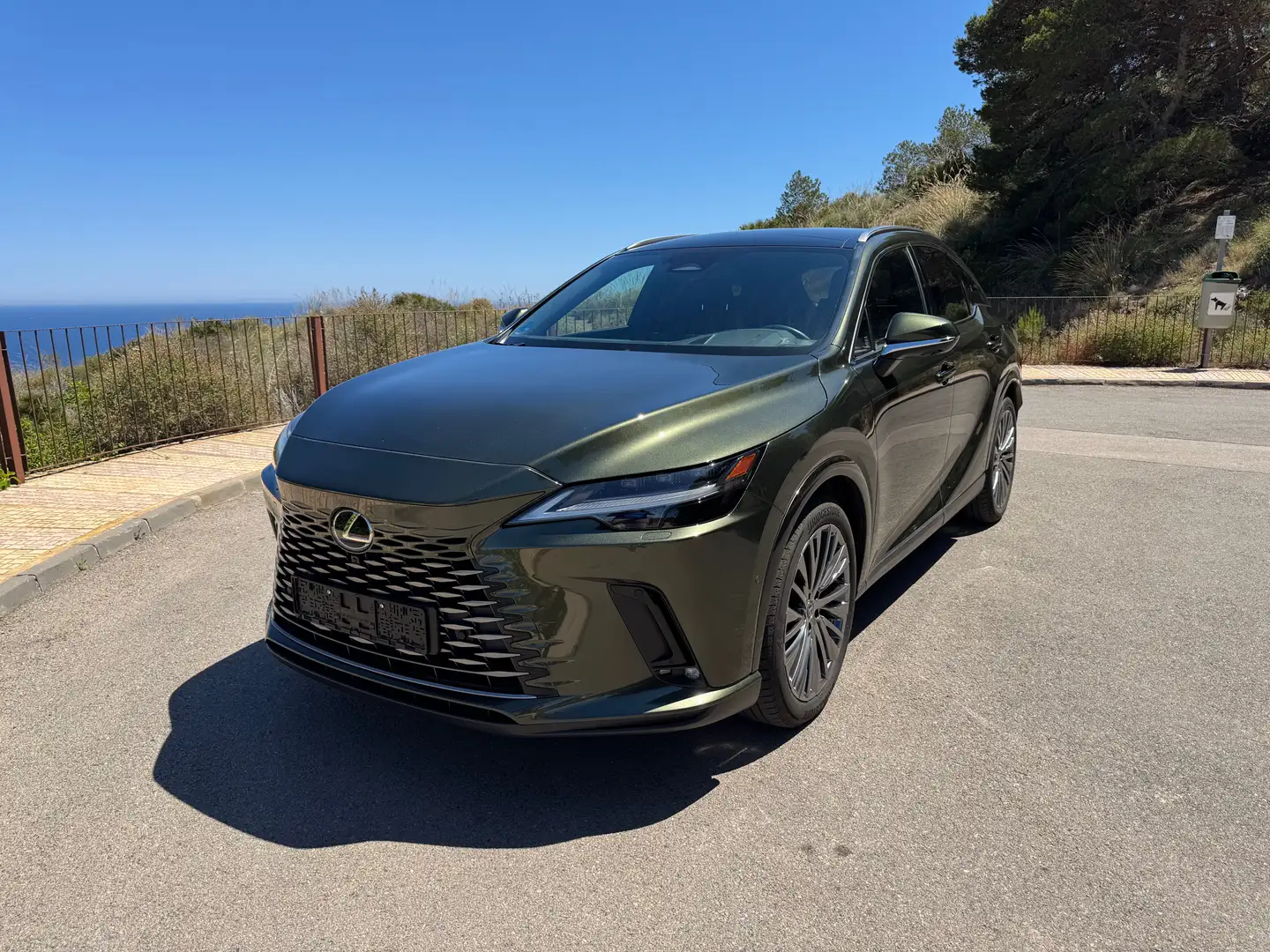 Lexus RX 450h RX 450h+ Luxury Zelená - 2