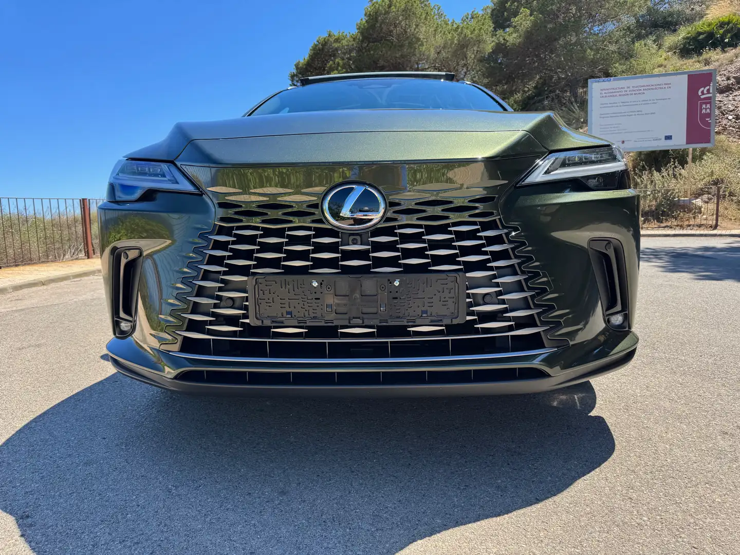 Lexus RX 450h RX 450h+ Luxury Zelená - 1