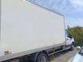 Ford Transit Kofferaufbau mit Ladebordwand Weiß - thumbnail 4
